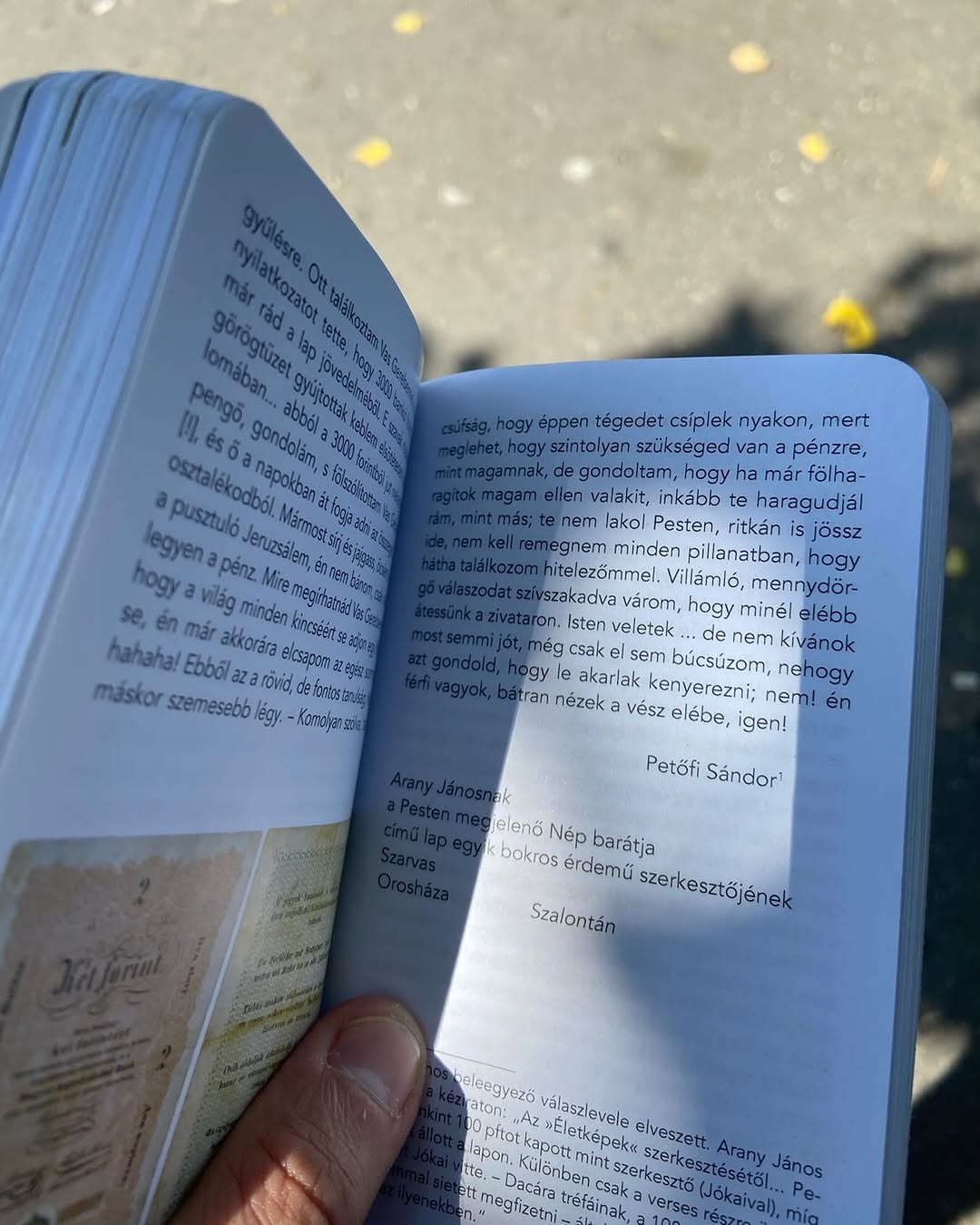 " Villámló, mennydörgő válaszodat szívszakadva várom, hogy minél elébb átessünk a zivataron. Isten v