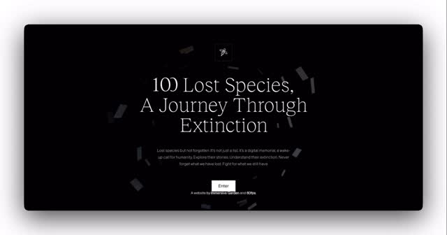 Vannak weboldalak, amelyek nemcsak információt adnak át, hanem élményt teremtenek. 

A céljuk, hogy 