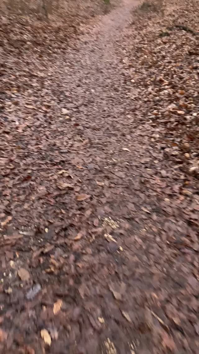 Kb 3-4 évvel ezelőtt hallottam először Gary Vee-től a "workaholic" kifejezést, és mostanra be kellet